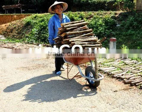 Broken Cassia With Best Price, hight quality