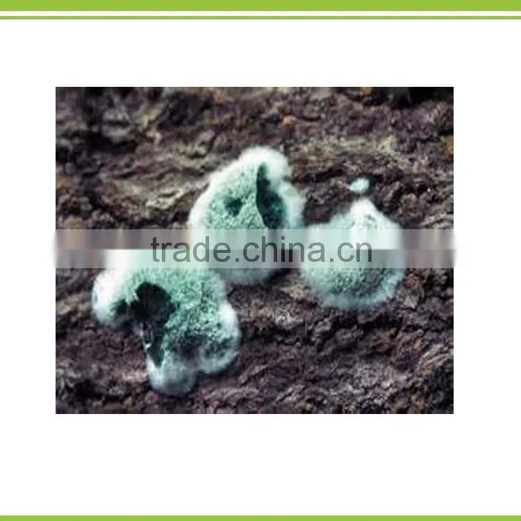 liquid bio amino acid organic fertilizer spraying and dressing fertilizer