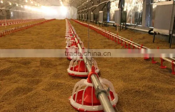 auto duck feeding system