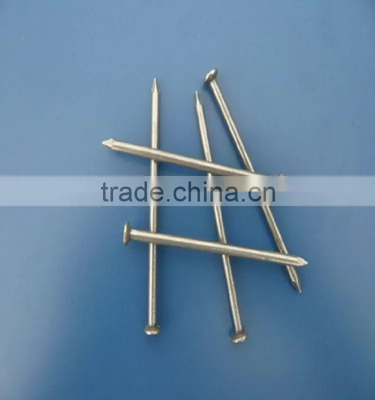 common nail/ common wire nail/common iron nails