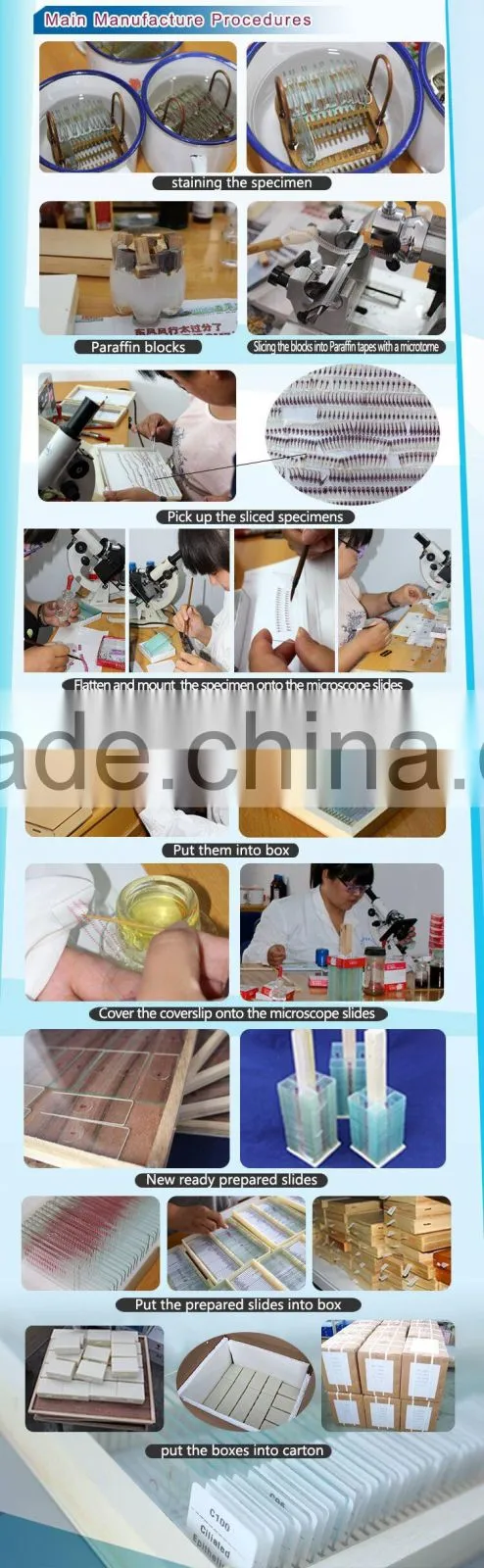 Microscope Prepared Slides ,MEDICAL PARASITOLOGY Slides, Prepared Slides