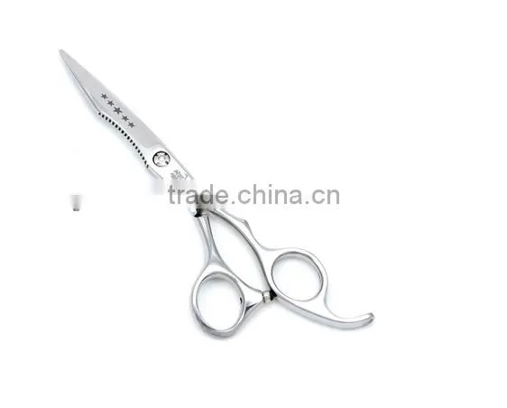 pet scissors