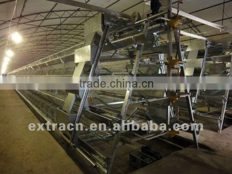 chicken cages