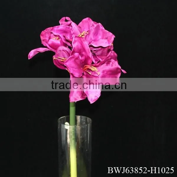 Natural rose flowers, cut flowers