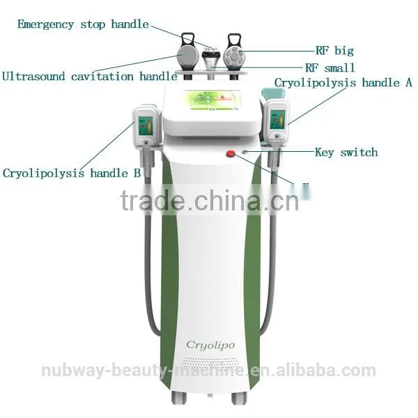 Professional 5 handles fat freezing cryolipolis ultrasonic liposuction cavitation slimming machine