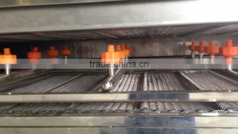 DUP-5000 Industrial Top and Bottom Spray Vegetable and Fruit Washing Cleaning Machine