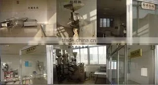 Leling Shenchu Seasoning & Food Co., Ltd. company overview - view 3
