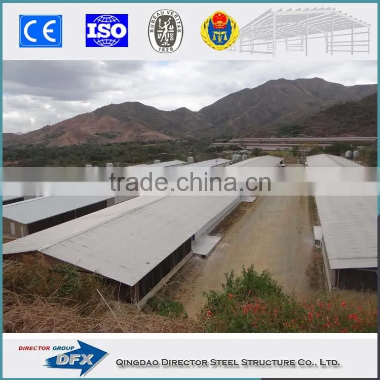 Shandong steel structure poultry farm house shed design with equipment for broiler