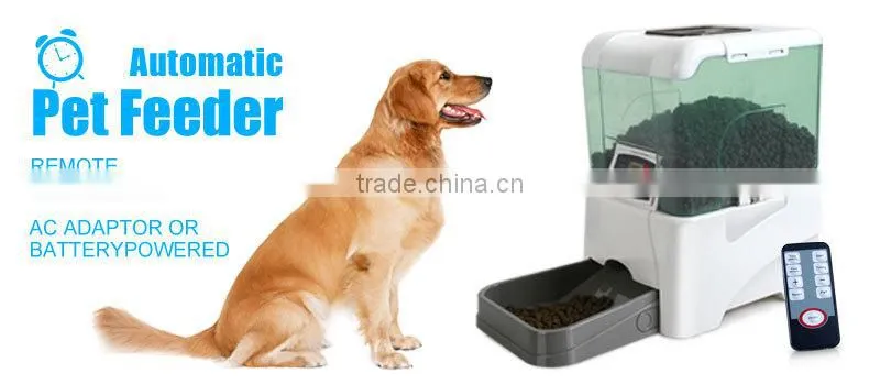 cheap different shape animated toy cat