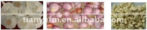 TW-1001 Hot Selling !!! Garlic peeling machine (Video)