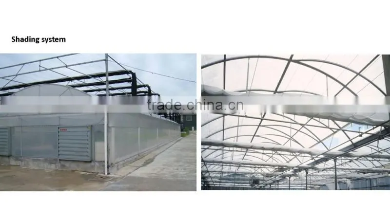 plastic film tunnel greenhouse