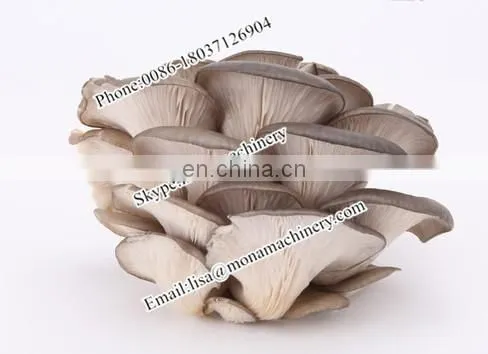 See larger image Factory price Automatic Fungus Mushroom growing bag filling machine