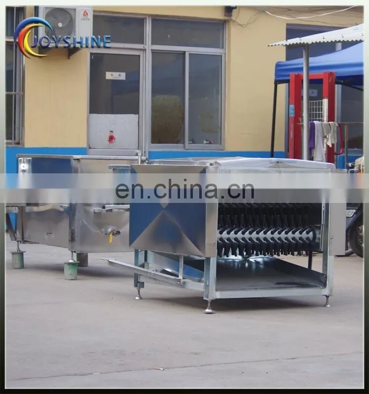 chicken scalding plucking machine/horizontal chicken deather plucker/industrial chicken plucker