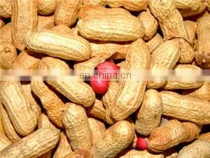 new type automatic multifunctional dates sorting machine