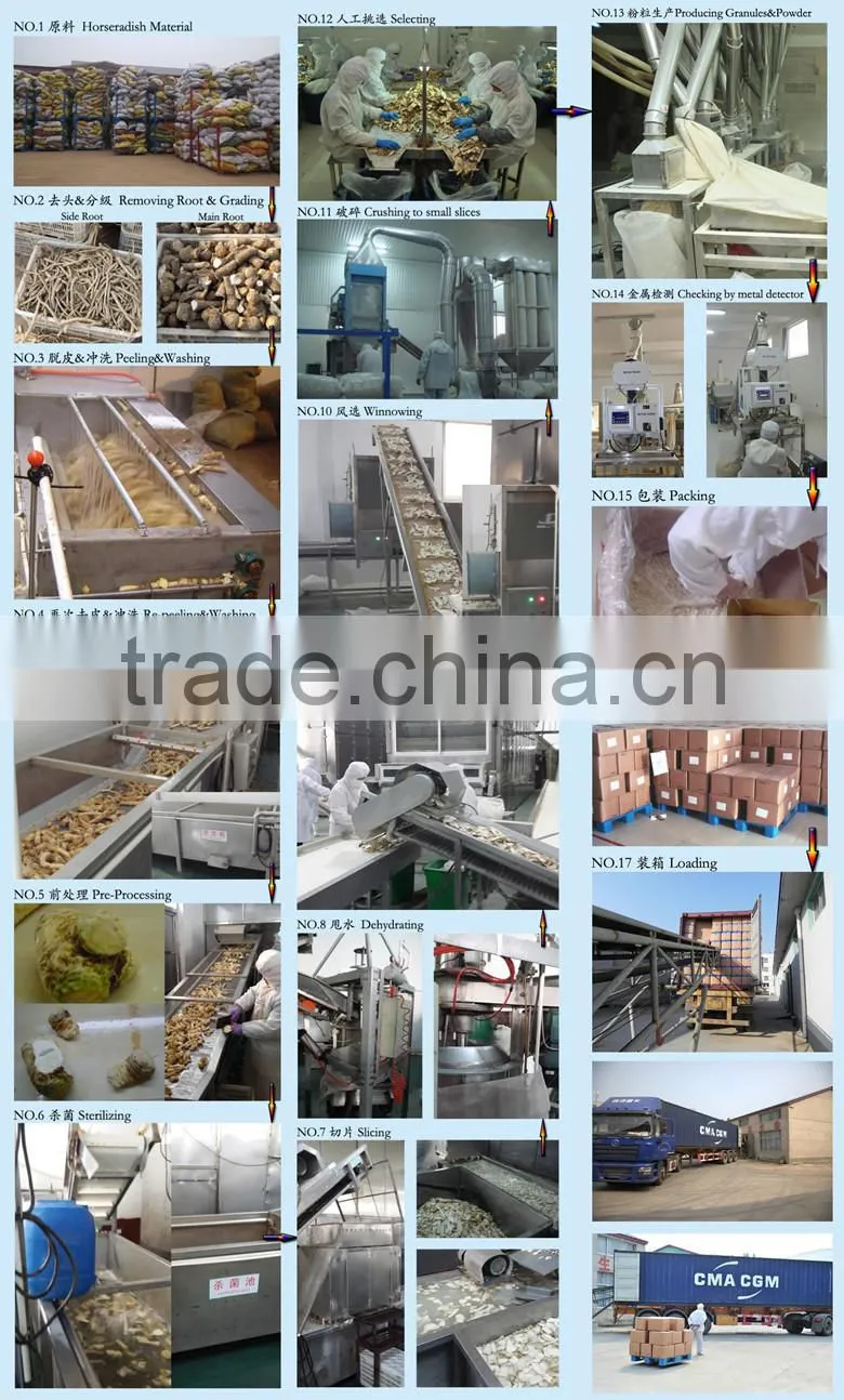 Grade A dehydrated garlic grain