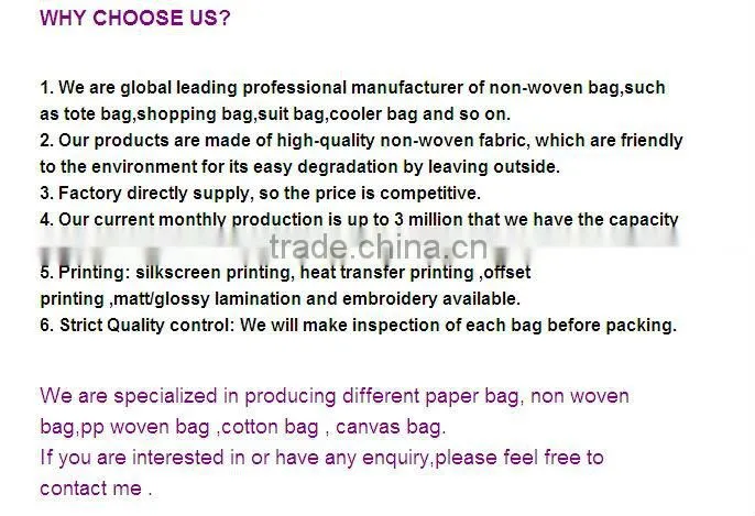 80g PP non woven children shoulder bag