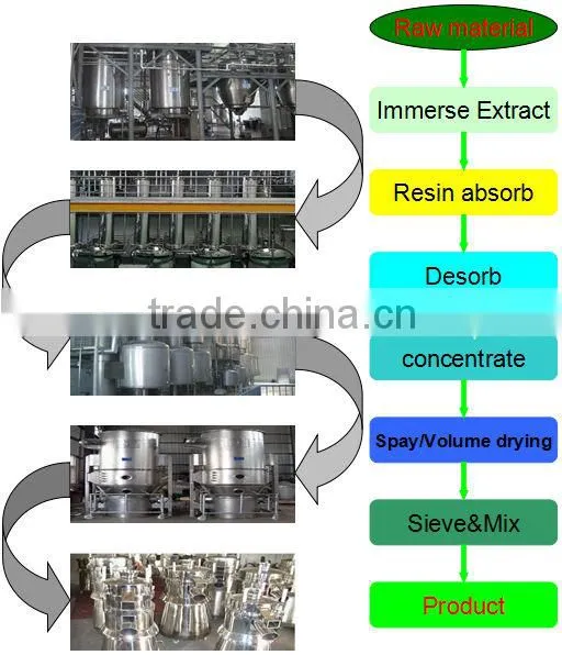 Pure Natural Pine Bark Extract / Proanthocyanidins Polyphenols