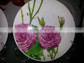 Disposable ceramic Plates