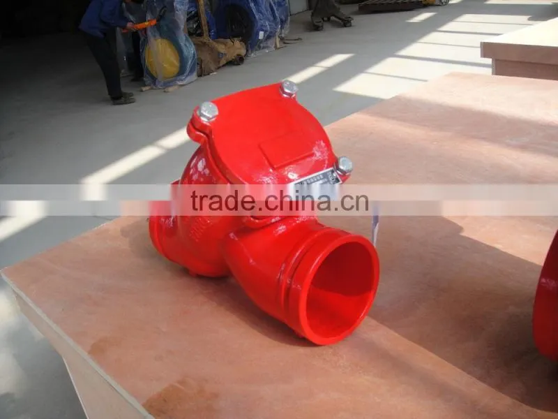 DI Grooved End Y Strainer