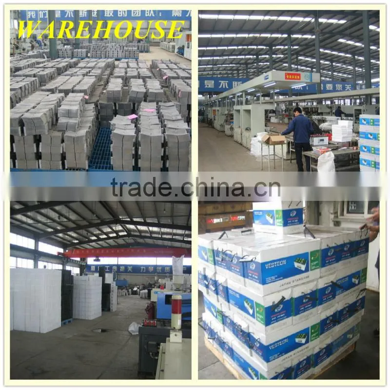 auto battery N60
