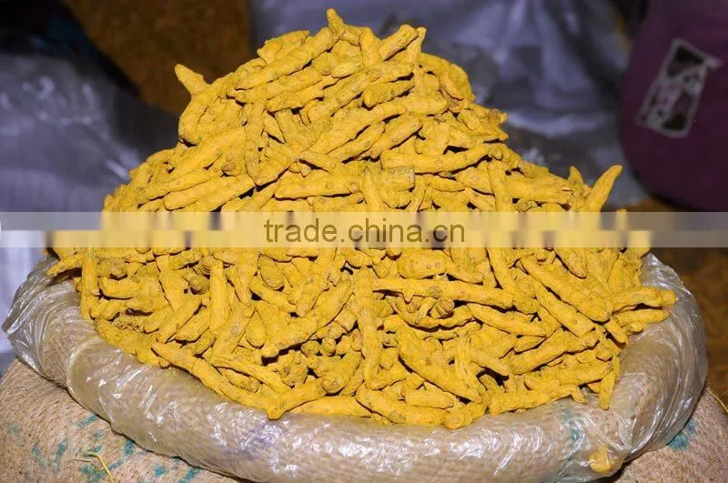 Double Polished Turmeric Fingers
