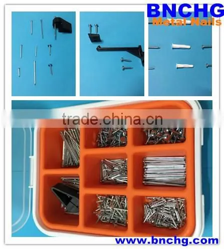 Wholesale Flat Head Stainless Steel nail Drive Screw nails