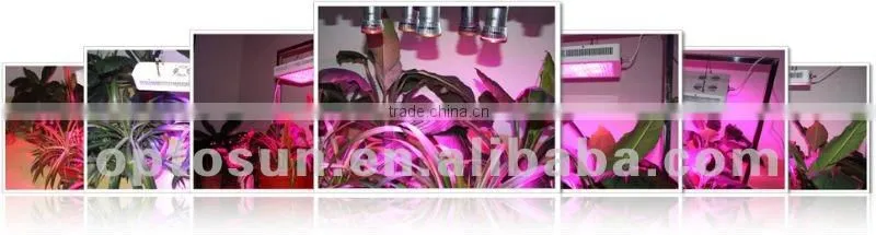 UFO led grow light 50w