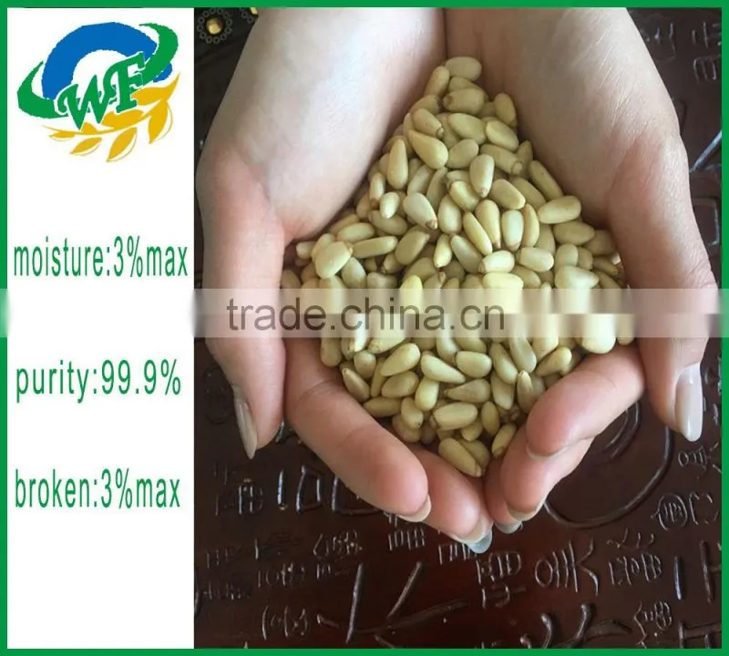 2016 Chinese pine nuts without shell for export