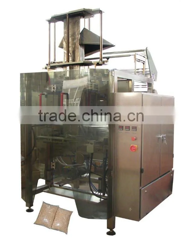 VFS1100 Automatic packaging machine line