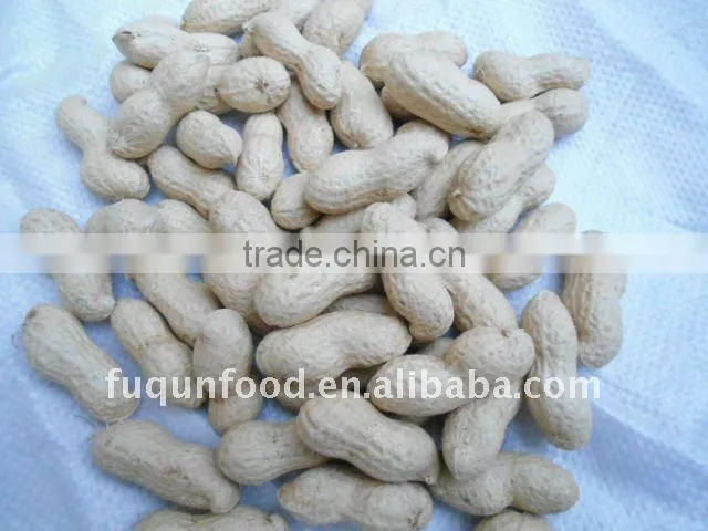 Washed Peanut in Shells 9/11 11/13