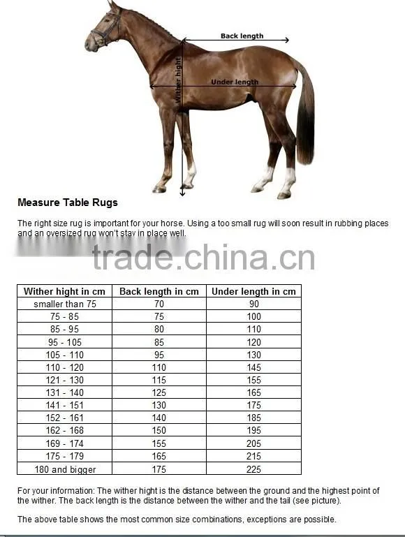 Stable Winter Horse stable rugs