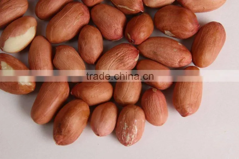 Bold Peanut Suppliers