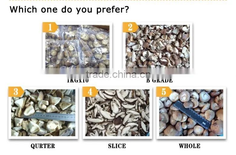 Whole IQF shiitake Mushroom China Origin