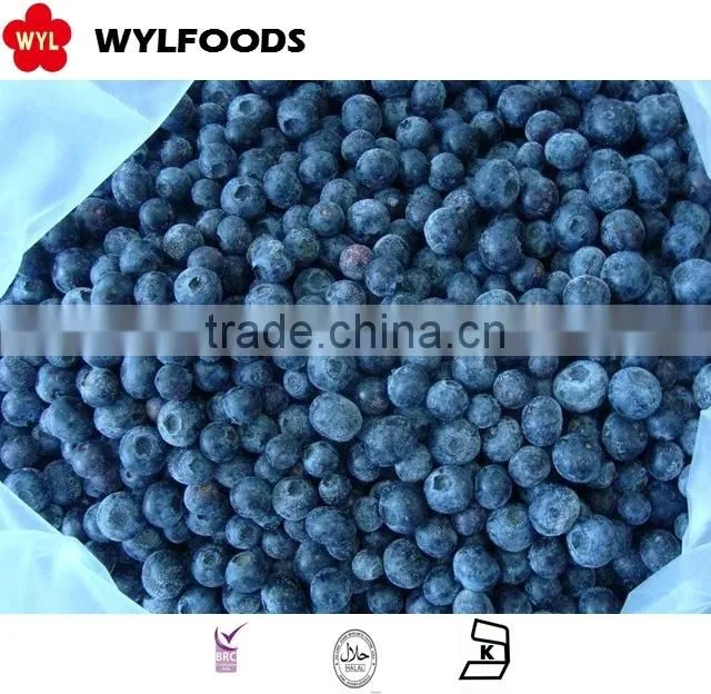 IQF frozen blueberry high quality hot sales