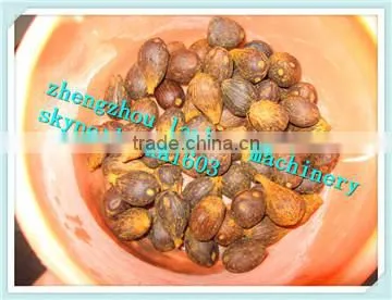 good quality best price almond shelling machine/almond sheling equipment/Nut shelling machine