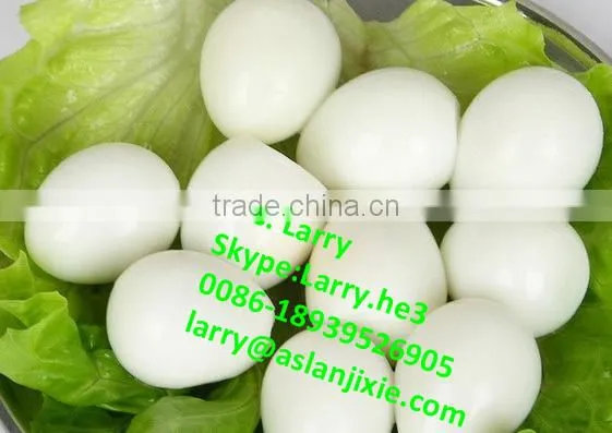 quail egg skin peeling machine/quail egg peeling machine