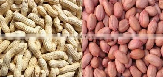rice roaster/peanut/soybean roasting machine