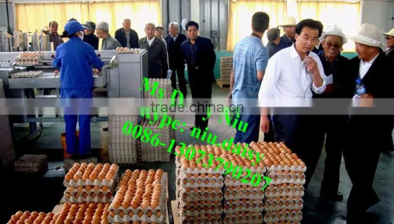 automatic egg packing machine/egg tray packaging machine/egg grading machine for packing