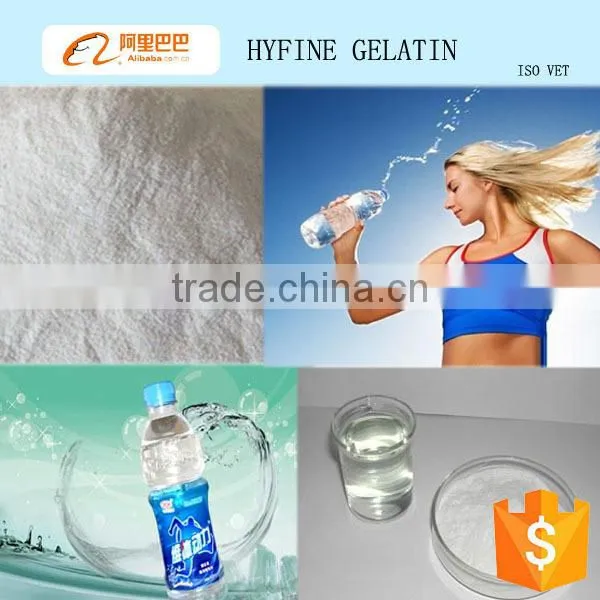 bodybuilding supplements protein/ hydrolyzed collagen powder