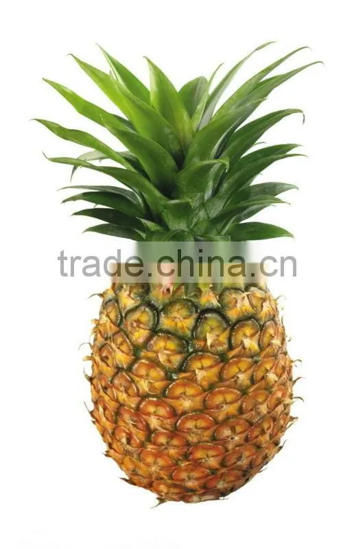 Best Price Pineapple Peeling Machine, Pineapple Peeler