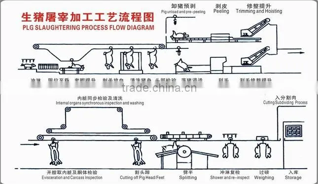 stainless steel pig hair removal machine/pig slaughtering line machinery