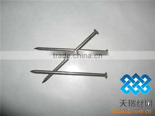 Nail/wire nail/common nails