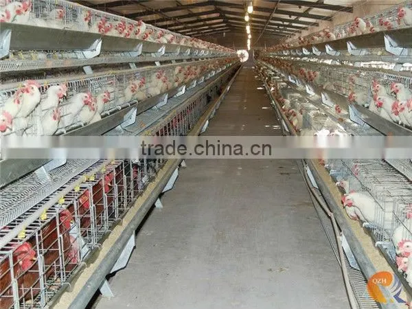 hot-sale good quality poultry farm layer chicken cage