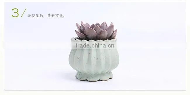 New design succulent plants ceramic indoor planters