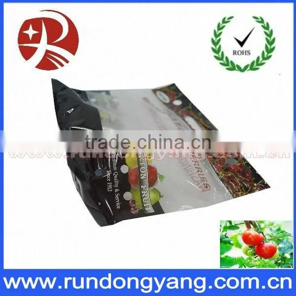 Printed new design friut packing bag