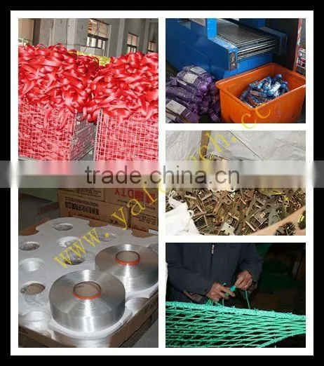 luggage tie down straps in ratchet tie down cam buckle with hooks and rings best price by China manufacturer