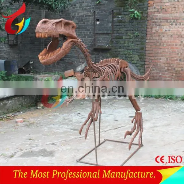 3m Length Life Size Fibrglass Realistic T-rex Dinosaur Fossils