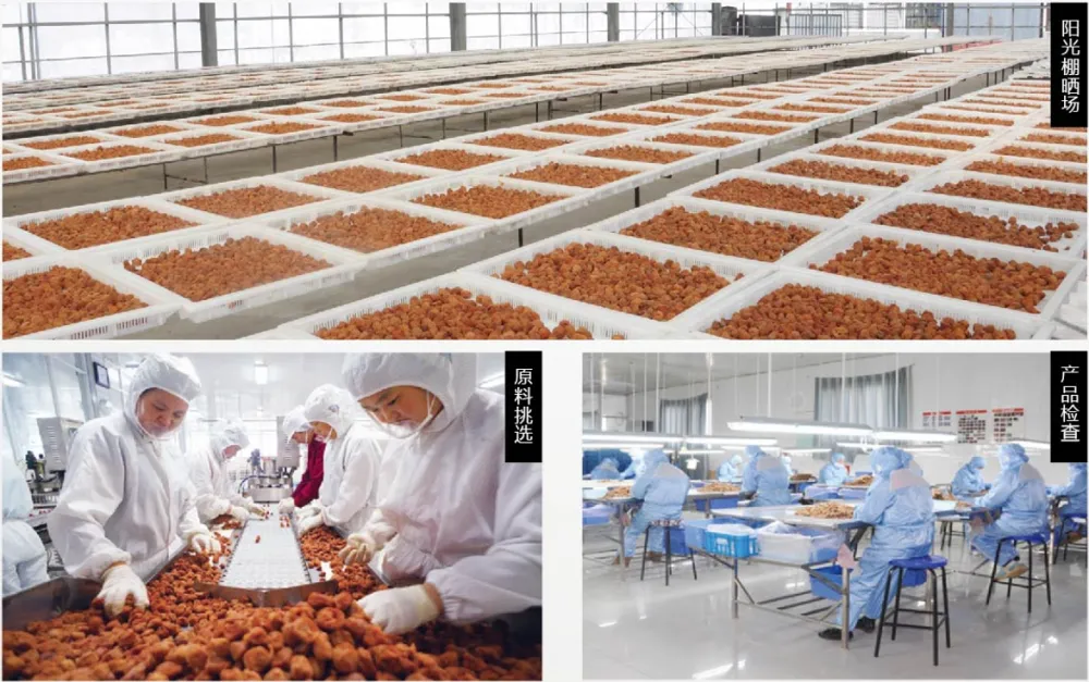 Plum Factory Vlog