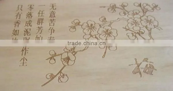 Small Portable Low Cost Plastic Laser Cutting Machine