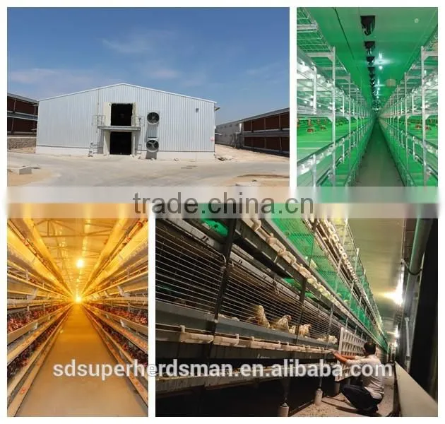 Light Steel prefab Farm House for Chicken